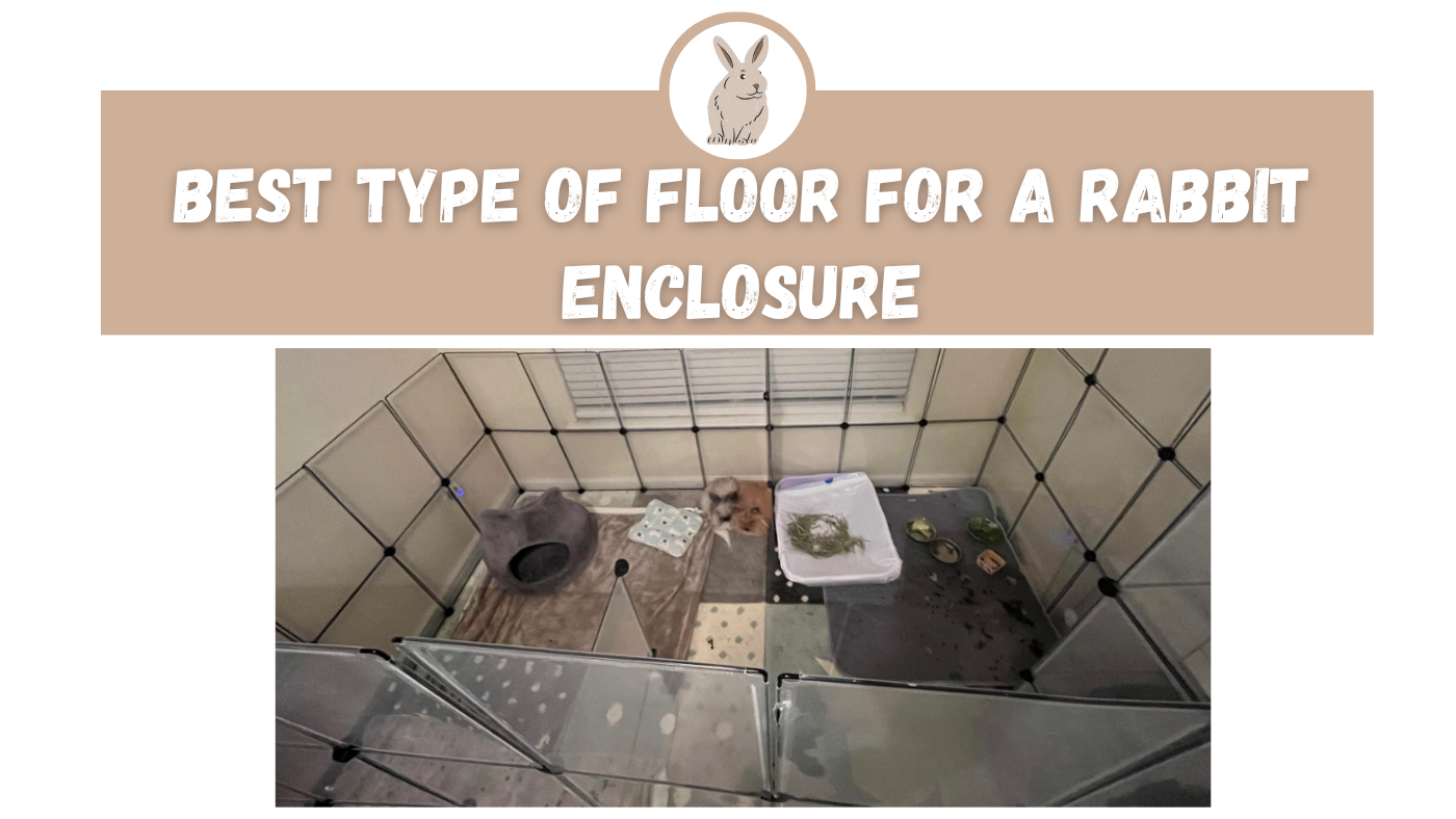 Best Type of Floor for a Rabbit Enclosure The Rabbit Expert